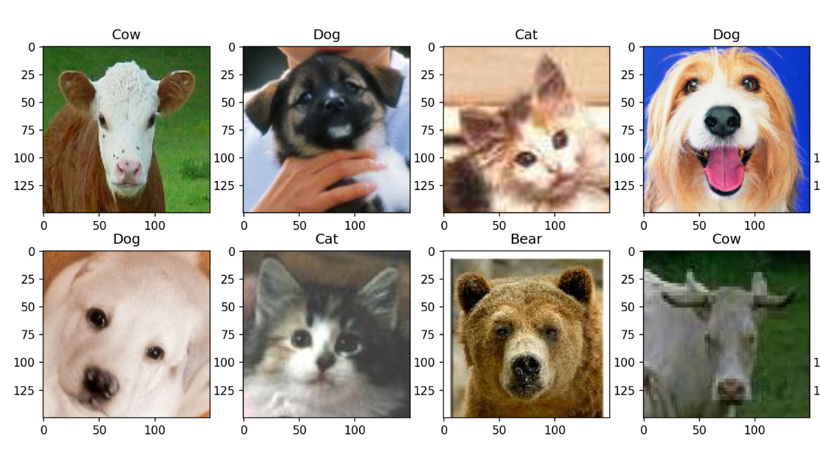 Animal Classifier project image
